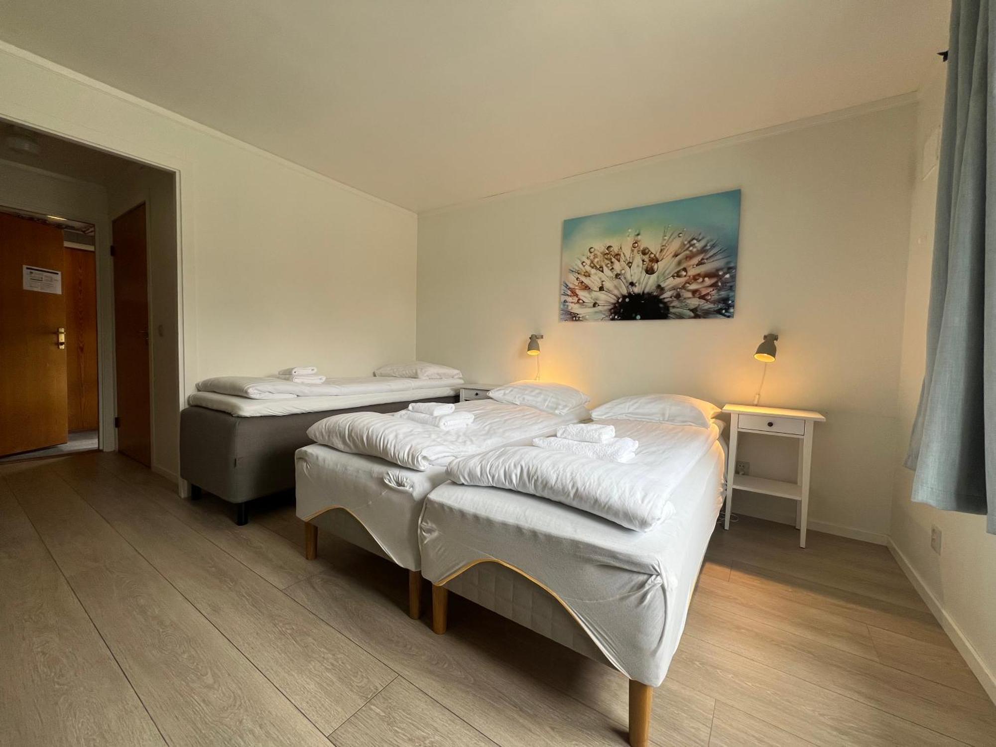 Malmplassen Bed & Breakfast Tolga Ngoại thất bức ảnh